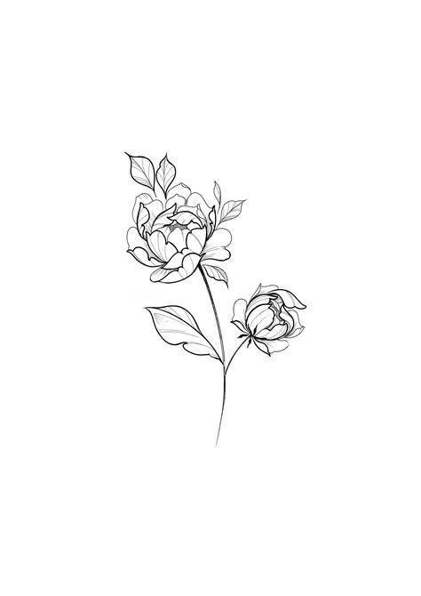 Single Peony Tattoo, Minimalistic Peony Tattoo, Fine Line Peony Tattoo Design, Peony Line Art Tattoo, Single Line Peony Tattoo, Nina Tattoo, Japanese Peony Tattoo, Peony Flower Tattoos, Work Logo