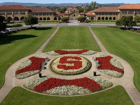 The 50 Most Beautiful College Campuses in America | Condé Nast Traveler Stanford University Campus, University Inspiration, Block Chain, Dream College, Top Colleges, Dream School, College Campus, University Campus, Stanford University