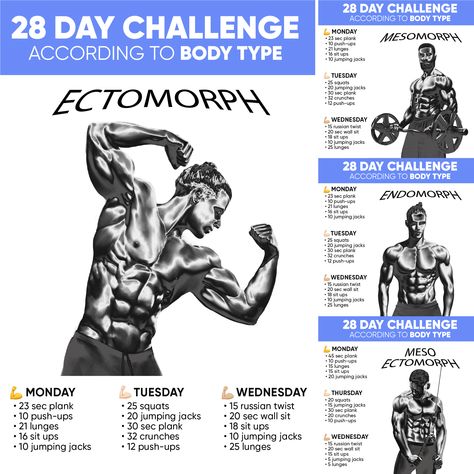 Ectomorph Workout Men, Ectomorph Men, Ectomorph Women, Endomorph Workout, Ectomorph Diet, Ectomorph Body, Endomorph Diet Plan, Body Type Workout, Deltoid Workout