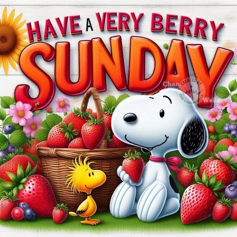 Good Morning Snoopy Sunday, Snoopy Happy Sunday, Sunday Snoopy, Happy Sunday Images Beautiful, Snoopy Sunday, Day And Night Quotes, Snoopy Hug, Happy Sunday Images, Have A Beautiful Sunday