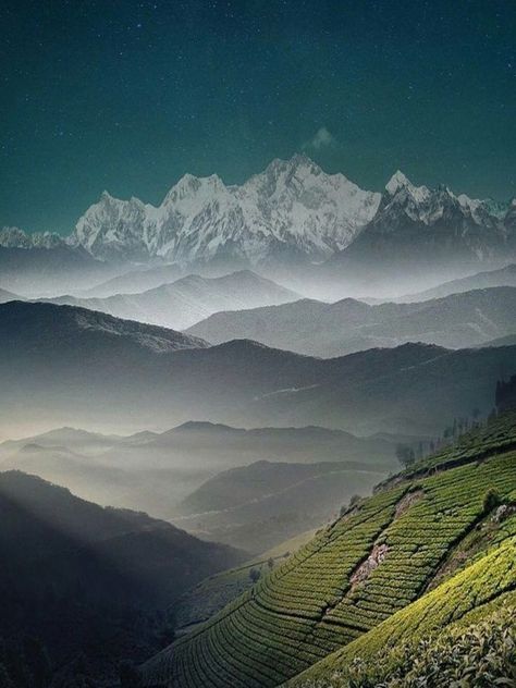 India Travel Photography, Travel In India, North East India, Amazing India, Western Ghats, Beautiful Sites, Darjeeling, West Bengal, Beautiful Backgrounds