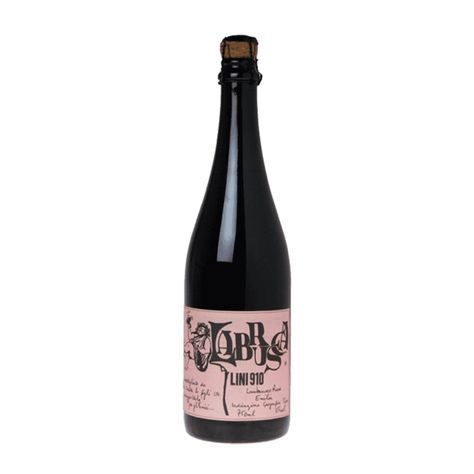 Lini 910 Labrusca Lambruscobestproductscom Lambrusco Wine, Sparkling Red Wine, Red Wines, Wine Guide, Wild Strawberries, Liquor Store, Rhubarb, Purple Flowers, Strawberries