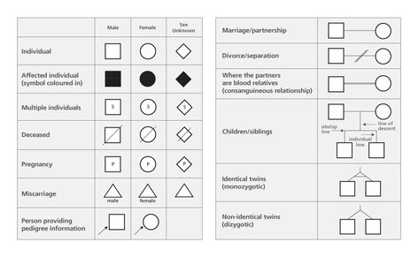 Genetic pedigree symbols and lines - the production of a family history diagram, also known as a genetic pedigree Pedigree Chart Printable Free, Pedigree Chart Biology, Geneology Forms Free Printable, Ancestry Dna Test, Pedigree Chart, History Worksheets, Preventive Medicine, Ancestry Dna, Genetic Testing