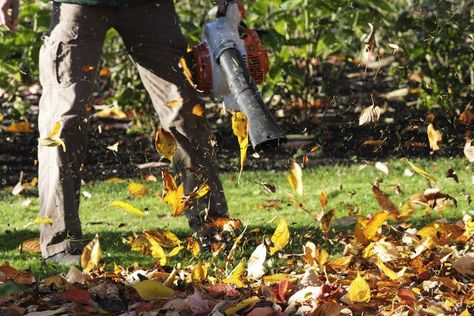 Autumn Checklist, Yard Cleanup, Fall Clean Up, Cordless Leaf Blowers, Leaf Blowers, Lawn Care Tips, Bob Vila, Small Ponds, Leaf Blower