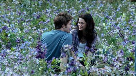 Twilight Images, Twilight Saga Series, All The Bright Places, Twilight Photos, Twilight Film, Edward Bella, Twilight Pictures, Twilight Series, Twilight Movie