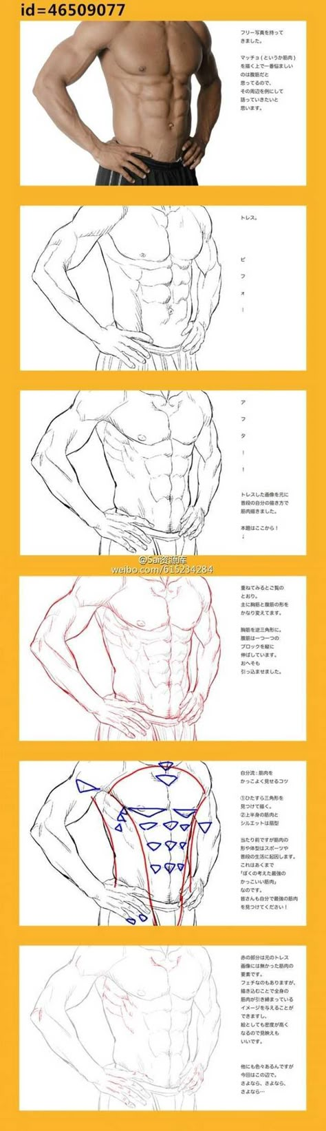 남성 근육, Anatomy Tutorial, Human Anatomy Drawing, Human Anatomy Art, Anatomy Sketches, Anatomy Poses, Anatomy For Artists, Body Reference Drawing, Body Anatomy