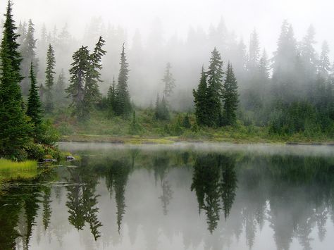 Misty Lake, Foggy Forest, Lake Painting, Misty Forest, Pretty Landscapes, Forest Painting, Watercolor Landscape Paintings, Watercolor Inspiration, Tree Painting