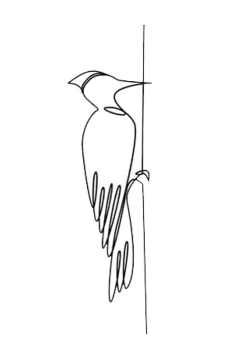 Woodpecker line drawing Line Art Beginner, Hawk Line Drawing, Small Woodpecker Tattoo, Woodpecker Tattoo Design, Woodpecker Sketch, Woodpecker Tattoo, Woodpecker Drawing, Line Art Doodles, Bird Line Drawing