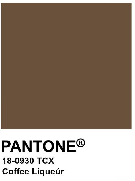 Winter Deep, Coffee Liqueur, Grey Stone, Color Swatches, Pantone Color, Liqueur, Dachshund, Mood Board, Gaming Logos