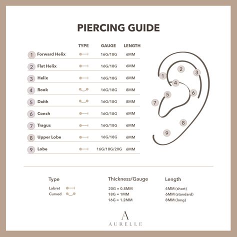 Piercing Guide, Multiple Piercings Earrings, Ear Peircings, Ear Piercings Chart, Piercing Chart, Forward Helix Piercing, Cool Ear Piercings, Pretty Ear Piercings, Face Piercings