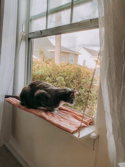 Diy Cat Shelf Window, Window Cat Shelf, Window Shelf For Cat, Cat Window Shelf, Kitty Window Perch, Macrame Cat Window Perch, Cat Window Hammock, Diy Cat Tower, Window Shelf