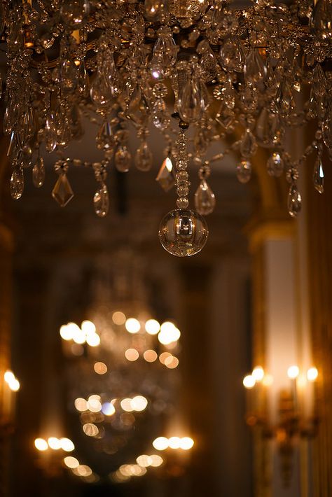 Crystal Chandelier Dark Academia Aesthetic Chandelier, Crystal Chandelier Aesthetic, Chandeliers Aesthetic, Chandelier Background, Chandelier Wallpaper, Chandelier Photography, Aesthetic Chandelier, Chandelier Aesthetic, French Room