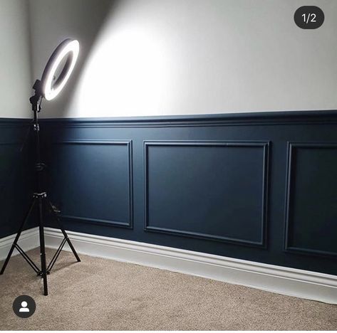 Dark Wainscoting Ideas, Dado Rail Living Room, Wainscoting Ideas Bedroom, Living Room Design Green, Hallway Panelling, Porch Interior, Navy Bedrooms, Home Bar Rooms, Home Entrance Decor