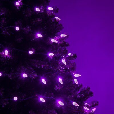 The Holiday Aisle 70 Light LED String Light Bulb Color: Purple String Lighting, Outdoor Trees, Light String, Purple Christmas, Christmas String Lights, The Holiday Aisle, String Lights, The Holiday, Led