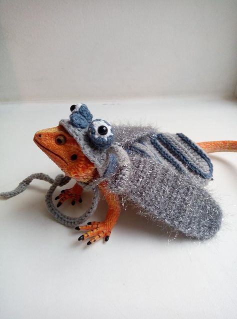 Bearded Lizard, Demogorgon Costume, Fly Costume, Bearded Dragon Clothes, Bearded Dragon Funny, Dragon Clothing, Cute Gecko, Bearded Dragon Cute, Cute Lizard