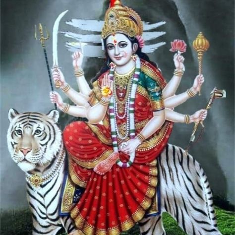 Amba Mataji Images, Lord Durga, Maa Durga Photo, Maa Image, Durga Picture, Devi Images Hd, Wild Animal Wallpaper, Happy Navratri Images, Shiva Parvati Images