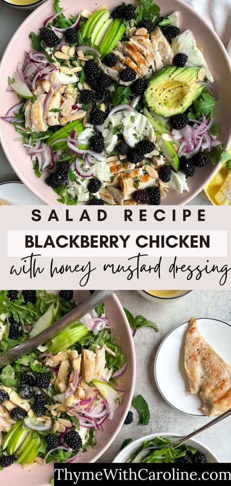 A perfect summer recipe: blackberry chicken salad. Vibrant, tangy, crunchy and sweet. Arugula bedded with mozzarella, avocado, red onion, chopped mint, almonds, green apples and more. Topped with a honey mustard dressing - it’s easy, light and delicious. Bring this to your next summer party or get together! Blackberry Chicken, Mozzarella Recipes, Honey Mustard Dressing, Summer Recipe, Green Apples, Mustard Dressing, Summer Salad Recipes, Arugula Salad, Chicken Salad Recipes