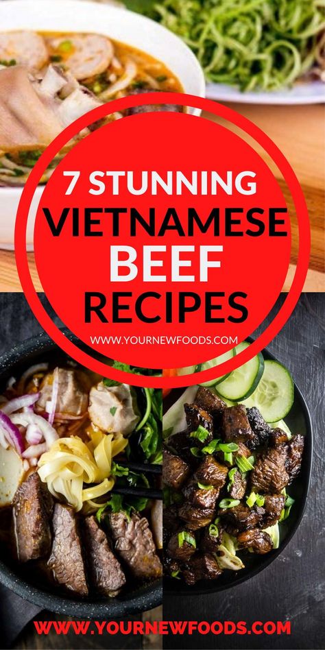 7 Stunning Vietnamese Beef Recipes. Such a wonderful cuisine with so much flavor. Once you have tried these Vietnamese beef recipes you will be hooked & want more Vietnamese Beef Recipes, Vietnamese Recipe, Vietnamese Beef, Vietnamese Dishes, Beef Soup Recipes, Easy Chinese Recipes, Dinner With Ground Beef, Easy Chinese, Spicy Beef