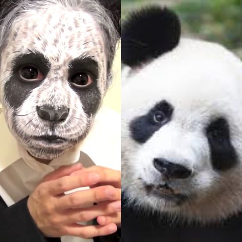 March 16, 2014 Panda KisaMake YouTube Panda Bear Makeup, Bear Makeup, Animal Makeup, Three Cats, Up Costumes, Halloween Make Up, Kung Fu Panda, March 16, Halloween Make