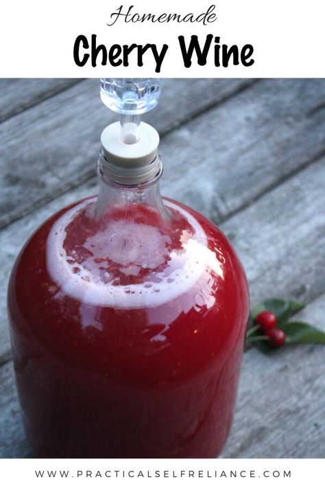 Cherry wine is a beautifully sweet way to use up a bumper crop of fruit this summer. #cherry #cherries #recipe #fermentation #wine #making #drinks #practicalselfreliance Preserving Cherries, Chokecherry Recipes, Herbal Wine, Alcoholic Drinks Recipes, Fruit Wine Recipes, Flowers Recipes, Wine Making Recipes, Homemade Wine Recipes, Making Drinks