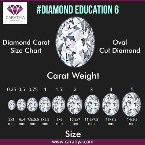 Oval Carat Size Chart, Oval Diamond Size Chart, Diamond Carat Size Chart, Carat Size Chart, Jewelry School, Diamond Carat Size, Oval Cut Ring, Bridal Ideas, Diamond Size Chart