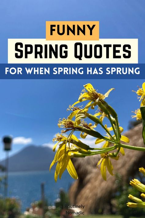 Yellow flower with words funny Spring Quotes for when spring has sprung Spring Funny Pictures, Spring Time Quotes Inspiration, Spring Morning Quotes, Spring Phrases Quotes, April Quotes Spring, Happy Spring Day Funny, Happy Spring Quotes Funny, April Inspirational Quotes, Short Spring Quotes Simple