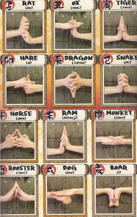 I have the urge to learn all these hands signs and then go around school using shadow clones and crap on everyone.. Durarara!!, Naruto Hand Signs, Ouran Highschool Host Club, Hand Signs, Hand Gestures, Manga Naruto, Sasuke Sakura, 5 Anime, Naruto Pictures