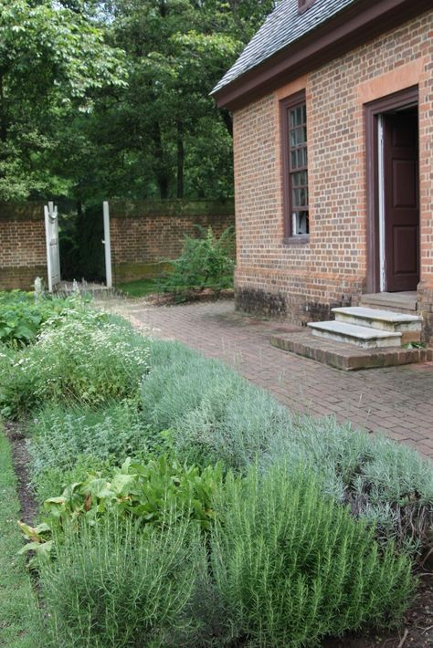 Evergreen Herbs: Lavender, Sage, Rosemary, and Thyme Herb Garden Front Yard, Lavender And Herb Garden, Front Herb Garden, Lavender Rosemary Thyme Garden, Lavender Sage Rosemary Garden, Rosemary Border Garden, Herb Garden Landscape Design, Rosemary Front Yard, Herb Front Garden