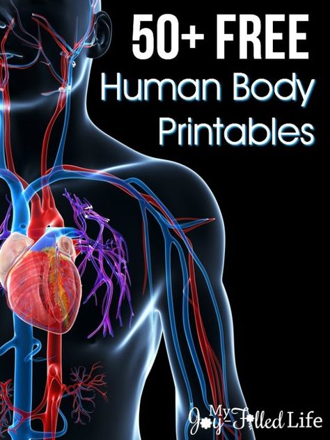 50+ FREE Human Body Printables Body Systems Project, Human Body Lesson, Human Body Printables, Human Body Unit Study, Human Body Science, Human Body Activities, Human Body Unit, Body Human, Health Class