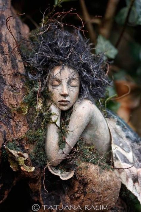 Takken Decor, Tre Kunst, Spirit Art Dolls, Faery Art, Spirit Dolls, Spirited Art, Tree Stump, Mystical Creatures, Fairy Art