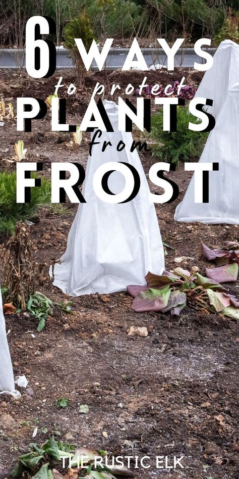 Frost on the way? These tips will help you protect plants from frost! Learn the best ways to provide protection, what to cover plants with, and how to keep your season growing even once the cold begins setting in. Protect Plants From Frost, Frost Protection For Plants, Front Porch Flowers, Garden Wood, Porch Plants, Outside Plants, Porch Flowers, Simple Garden, Plant Covers