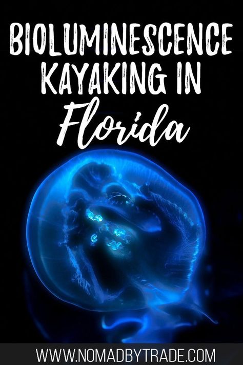 Did you know that you can see bioluminescence in Florida? Taking a nighttime bioluminescence kayaking tour is one of the best things to do in Cape Canaveral. If you're looking for awesome things to do in Florida or searching for day trips from Orlando, you won't want to miss these glowing jellyfish. Click through to find out more! Cape Canaveral Florida Things To Do, Bioluminescence Kayaking, Glowing Jellyfish, Cape Canaveral Florida, Single Travel, Usa Destinations, Things To Do In Florida, Usa Florida, Travel Florida