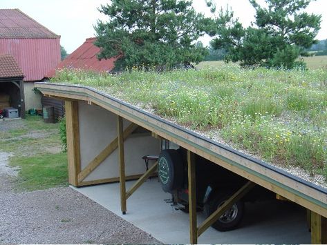 Wooden Garden Buildings, Green Roof Garden, Sedum Roof, Canopy Glass, Car Shed, Grass Roof, Carport Plans, Oak Framed Buildings, Carport Canopy