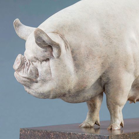 Middle White Pig - Ltd Edition Bronze Sculpture by Nick Bibby Pig Breeds, Pig Sculpture, White Pig, Bunny Painting, Pig Art, Clay Animals, Ceramic Animals, Cute Pigs, Animals Artwork