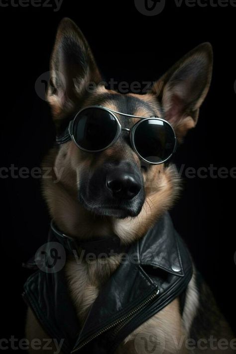 Cool dog with sunglasses and leather jacket on black background. Fashionable appearance, be trendy. Style and fashion. Stylish pet. Dog boss, funny pet. Generative AI. Dog Leather Jacket, Dog With Sunglasses, Cool Dog, Trendy Style, Pet Dog, Black Background, Best Dogs, Black Backgrounds, Business Card