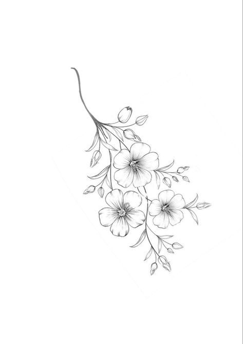 Floral Tattoo Template, Small Cosmos Tattoos, Bouquet Of Flowers Outline, Fine Line Cherry Blossom Tattoo Design, Violet Tattoo Fine Line, Violets Tattoo Design, Fine Line Cosmos Flower Tattoo, Fine Line Violet Flower Tattoo, African Violet Tattoo Black And White