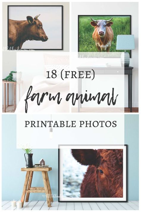 18 FREE Farm Animal Printable Photos! Great for large wall decor on a budget. Cow Decor | Horse Decor | Pig Decor | Farmhouse Decor #freeprintables #printabledecor Wall Decor On A Budget, Farm Animal Decor, Blonde Mom, Farmhouse Printables, Farm Animals Decor, Animal Printables, Pig Decor, Cow Decor, Cow Pictures