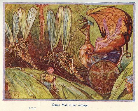 H. Granville Fell ~ Queen Mab ~ Sir Thomas Thumb ~ 1907 Queen Mab, Fairy Illustration, Fairy Queen, Illustrator Artist, Fairy Book, Midsummer Nights Dream, Fairy Magic, Fairy Art, Fairy Land