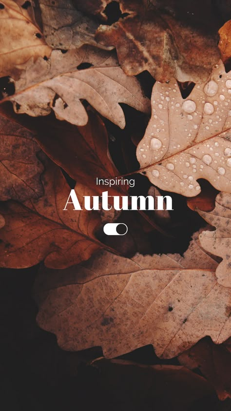 Canva Template Design by Ksuview. #Canva #Canvatemplate #Canvacreator #Canvacontributor #Canvadesign #Template Fall Iphone Inspiration, Autumn Aesthetic Quotes, Autumn Instagram Story, Autumn Template, Fall Ios, November Wallpaper, Autumn Instagram, Quotes Design, Cute Fall Wallpaper