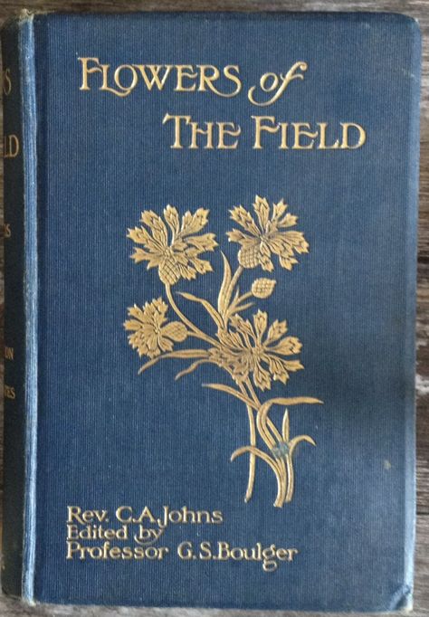 Vintage book - Flowers of the Field - 1911 illustrated flower guide Country Books, Field Notes Cover, Field Journal, Feminine Brand, Brand Aesthetic, Nostalgic Images, Club Poster, Flower Guide, Book Flowers