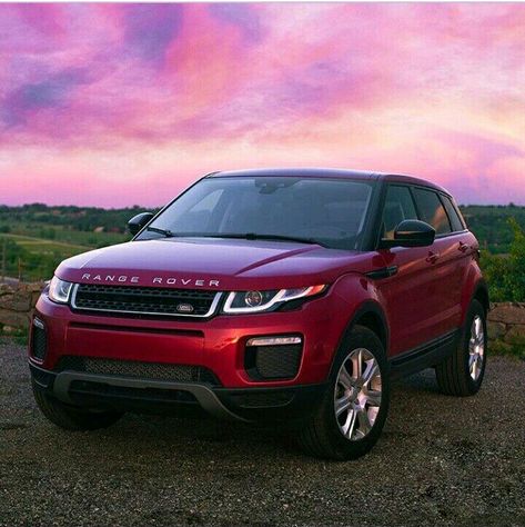 Range Rover lovers red colour Red Suv Car, Range Rover Evoque Red, Red Range Rover, Best Dog Halloween Costumes, Range Rover Svr, Range Rover Discovery, Red Jeep, Dog Spa, Gain Knowledge