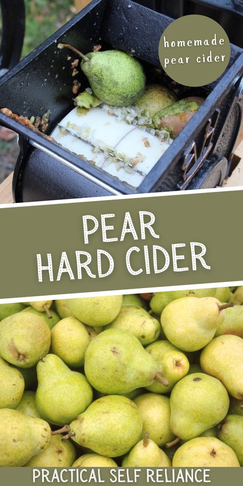 Preserve Pears, Mead Wine Recipes, Mead Recipes, Hard Cider Recipe, Making Hard Cider, Wine Making Recipes, Homemade Wine Recipes, Homemade Cider, Mead Recipe