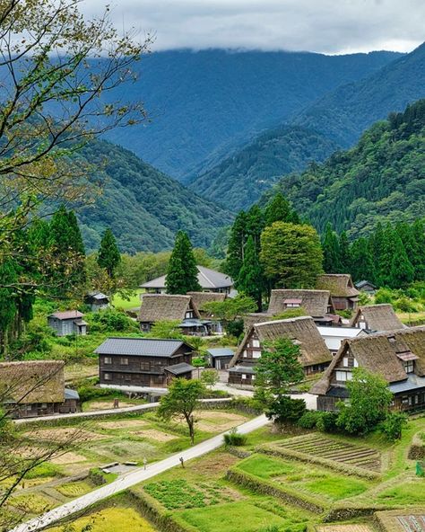 Japan Farm Aesthetic, Edo Japan Village, Gokayama Village, Ainokura Village, Japan Farmhouse, Gassho Zukuri, Village Artwork, A Wizard Of Earthsea, Japan Countryside