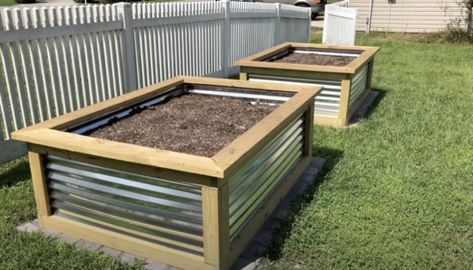 Diy Corrugated Metal Raised Garden Bed, Veggie Garden Raised Beds, Metal Raised Garden Beds Diy, Raised Garden Bed Blueprints, Corrugated Metal Garden Bed, Waist High Raised Garden Beds Diy, 4x8 Garden Bed Plan, Garden Bed Against Fence, Raised Garden Bed Fence