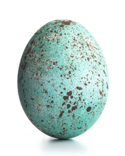 Shaving Cream Easter Eggs, Decorating Easter Eggs, Easter Egg Decorating Ideas, Easter Egg Decorations, Egg Decorating Ideas, Speckled Eggs, Easter Egg Dye, Easter Tablescapes, Ideas For Decorating