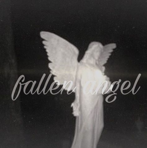 Fallen Angel Aesthetic, Vampire Pictures, Punk Poster, Angel Aesthetic, All In The Family, Crystal Angels, Earth Angel, Blogger Girl, Creepy Cute