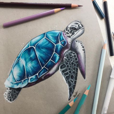 Drawing Grid, Blue Sea Turtle, Disney Artwork, Gcse Art, Art Drawings Sketches Creative, Color Pencil Art, Anime Character Drawing, Colorful Drawings, Pen Drawing