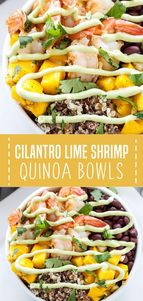 A gluten-free quinoa bowl full of Southwest and tropical flavors! Cilantro Lime Shrimp Quinoa Bowls is a light and healthy recipe you can whip up for lunch or dinner. This bowl of goodness is filled with carbs, protein, and veggies. Save this quick and easy healthy meal! Shrimp Quinoa Bowl, Shrimp Quinoa, Lime Shrimp Recipes, Shrimp And Quinoa, Quinoa Recipes Healthy, Quinoa Bowls, Cilantro Lime Shrimp, Healthy Bowls Recipes, Protein Packed Meals