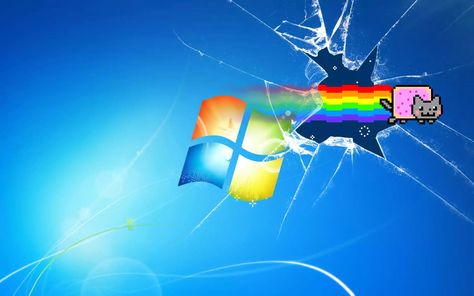 Kitten Icons, Nya Cat, 컴퓨터 배경화면, Gamer Cat, Breaking The Fourth Wall, Windows Wallpaper, Cat Background, Cat Window, Nyan Cat