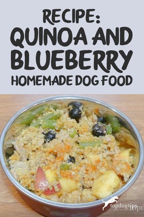 Recipe: Quinoa and Blueberry Homemade Dog Food – Top Dog Tips Homemade Dog Food With Fruit, Homemade Dog Food With Quinoa, Puppy Food Recipe, Homemade Dog Food For Dogs With No Teeth, Quinoa Dog Food Recipes, Dog Food Breakfast Recipes, Homemade Dog Breakfast, Homemade Dog Food With Fish, Fish Dog Food Recipes